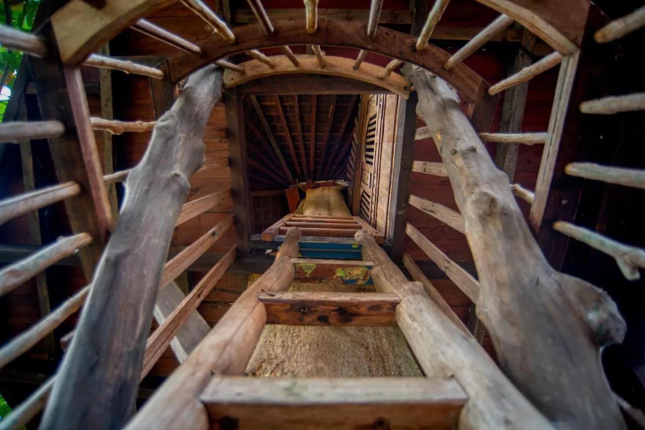 Villa Green Tree House Ubud