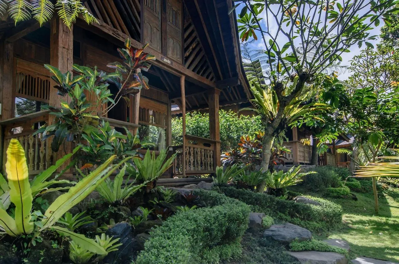 Villa Green Tree House Ubud  Indonesia